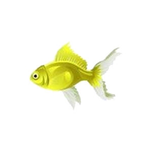 Mellow Yellow Goldfish